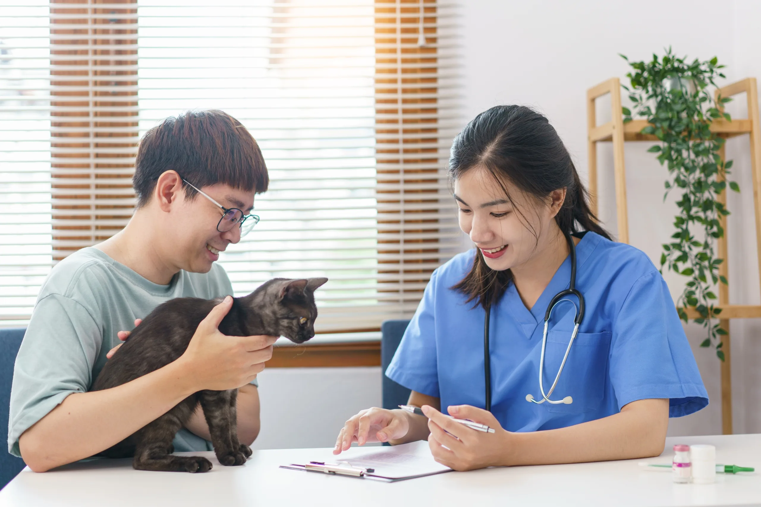 Pet Healthcare Emergency Loans Singapore